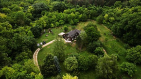 Cosy Forest House